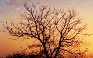 散粉要刷全脸吗知乎小红书_散粉要刷全脸吗？——深度解析与实用建议 !