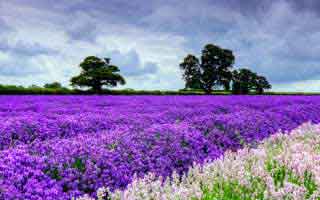 怎么正常刷tiktok_TikTok是当今最受欢迎的社交媒体平台之一，吸引了全球数以亿计的活跃用户。由于种种原因，有时候在使用TikTok时可能会遇到一些困扰。本文将向您介绍如何正常刷TikTok，包括优化设置、内容创作与分享等方面，帮助您获得更好的使用体验。 !