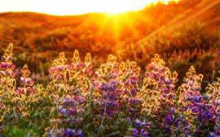 tiktok投流涨粉快吗_TikTok投流涨粉的速度:深入探究与分析 !